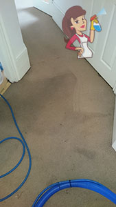 Chicago Carpet Cleaning Services