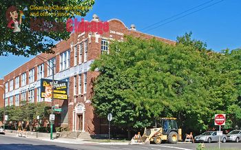 Green home cleaning - Irving Park